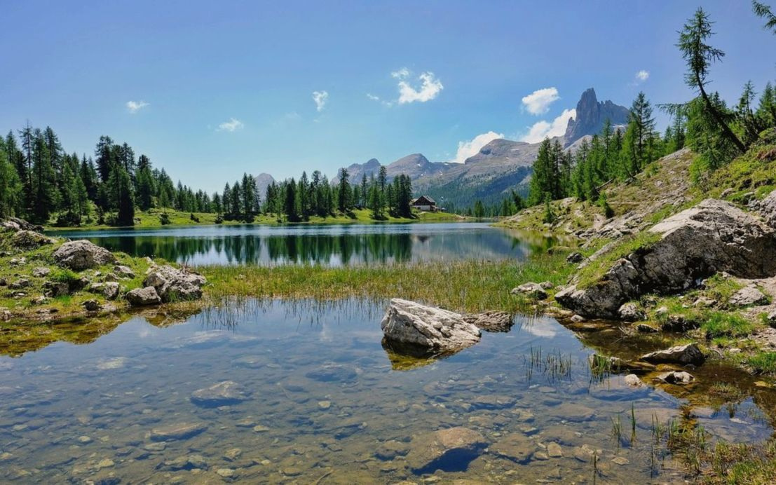 Autentični ambijent planinske kućice sa šumskim pogledom